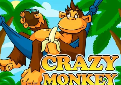 Crazy Monkey game screenshot